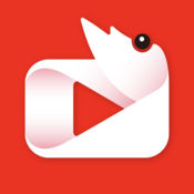 虾看影音手机版下载v1.1.0 安卓版