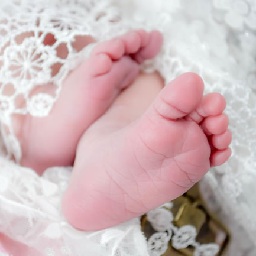 脚丫子图片下载免费版