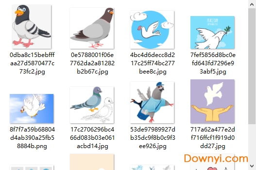 卡通鸽子图片素材
