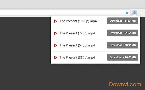 video downloader professional 插件