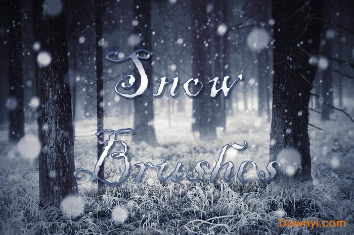 ps雪花笔刷