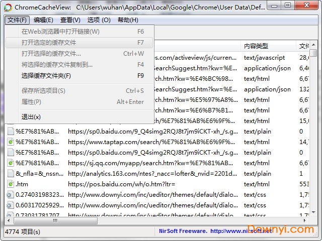 Chrome浏览器缓存查看工具