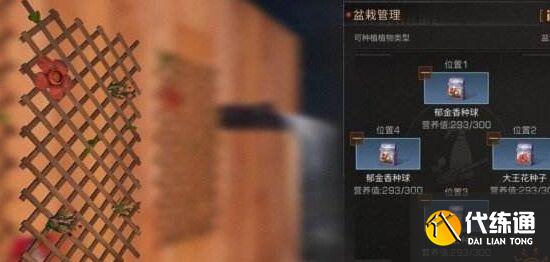 明日之后植物种植详解_明日之后种植攻略