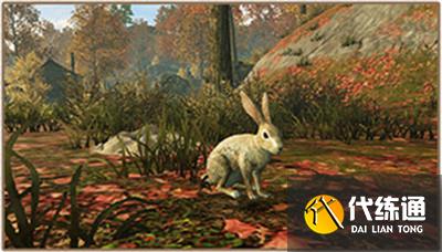 明日之后野兔出没玩法攻略_野兔出没应对攻略