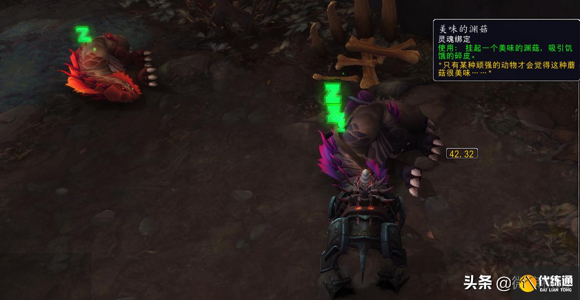 魔兽世界：刻希亚三个养成坐骑，任务路上就能获取道具，顺路拿了