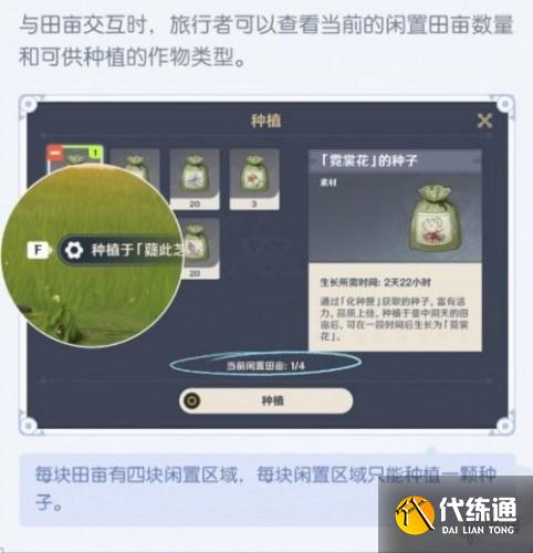 原神2.0尘歌壶系统种植玩法介绍