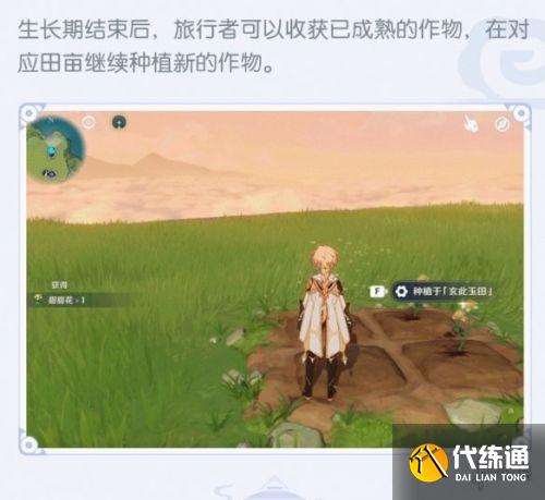 原神2.0尘歌壶系统种植玩法介绍
