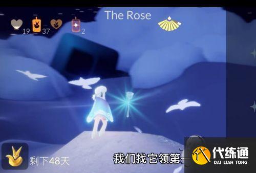 光遇星光沙漠玫瑰在哪里