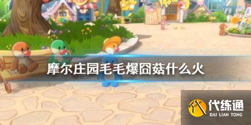 摩尔庄园手游毛毛爆囧菇用什么火制作