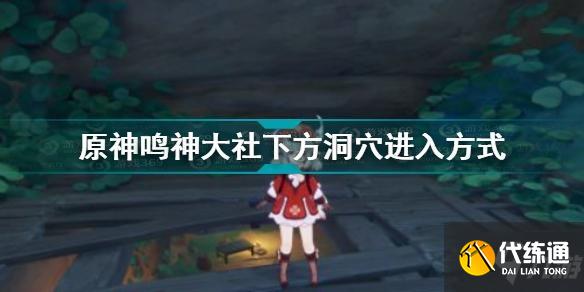 原神鸣神大社洞穴攻略_原神鸣神大社下方洞穴进发