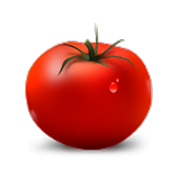 Strict Workflow番茄工作法下载v1.6.2 pc版