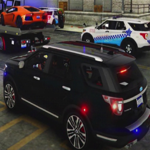 疯狂的警察司机