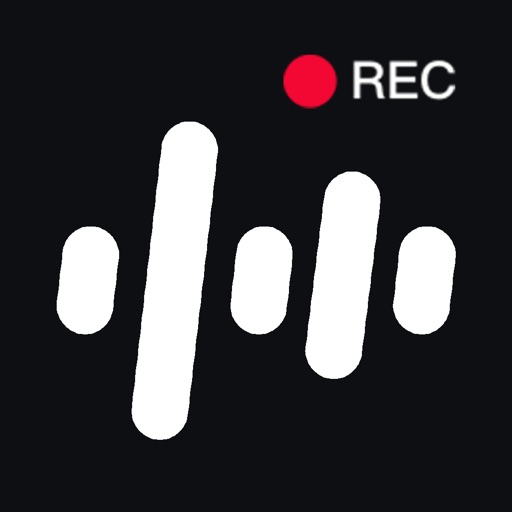 录音专家_录音转文字精准识别翻译专家