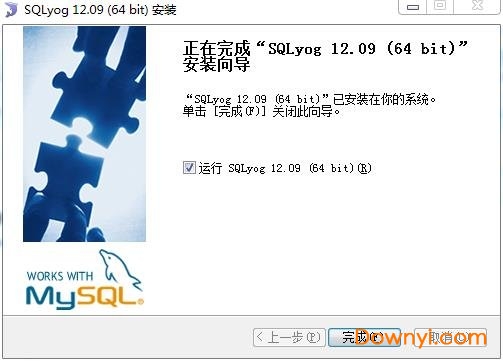 sqlyog 64位修改版