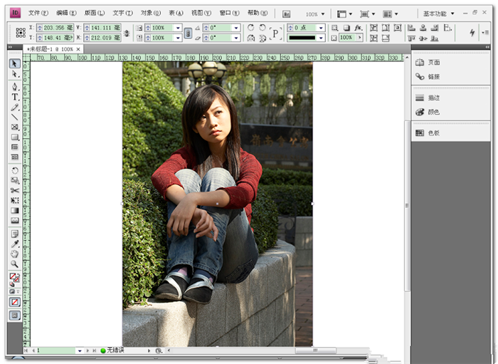 InDesign CS4绿色版