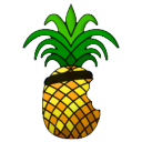 redsn0w红雪(越狱工具)下载v0.9.15b3 中文绿色版