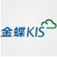 金蝶kis迷你版财务软件下载v9.1 官方版