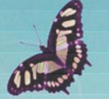 Flash MP3网页播放器下载