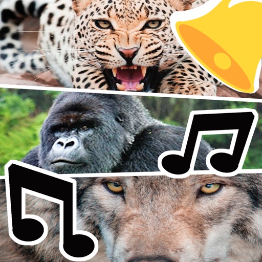 动物铃声-声音