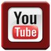 Freemake video Downloader中文版下载v3.8.1.1 绿色版