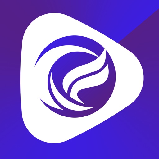 FSM-Funscript视频播放器