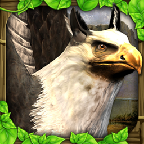 狮鹫模拟器(griffin sim)内购修改版下载v2 安卓版