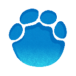 河南广播电视台大象新闻客户端下载v5.8.2 安卓版