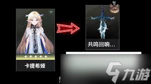 鸣潮卡提希娅声骸选哪个