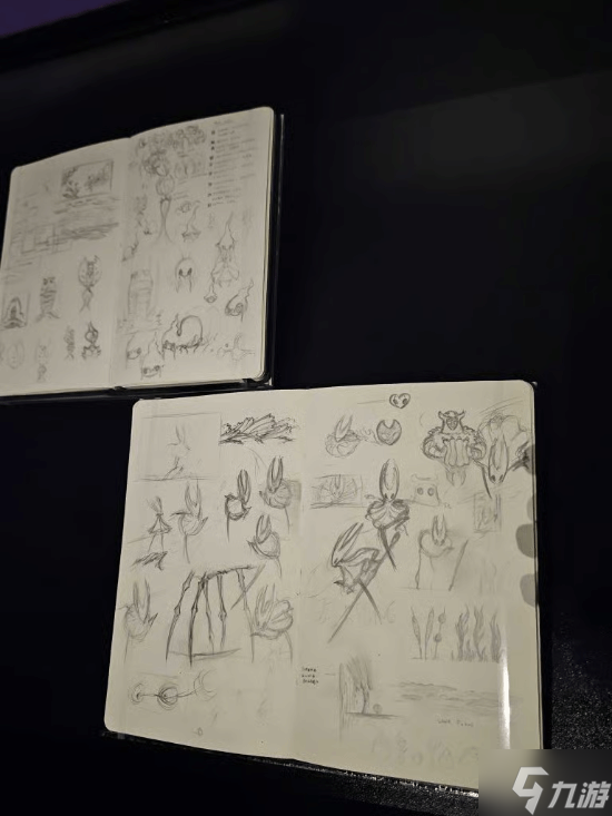 澳大利亚游戏展开幕