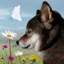 翌日波奇狗的历险记手机版下载v1.0