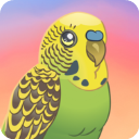 鸟类世界手机版下载v1.27安卓版