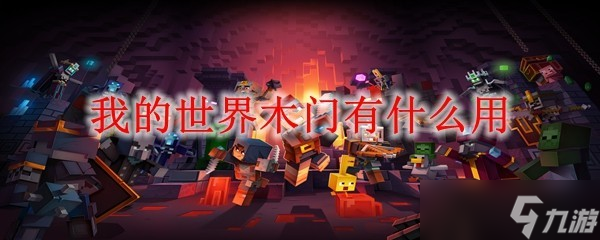 我的世界_我的世界木门详解