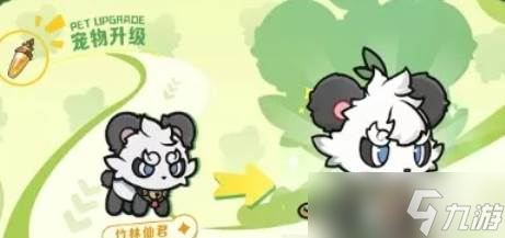 杖剑传说竹林仙君