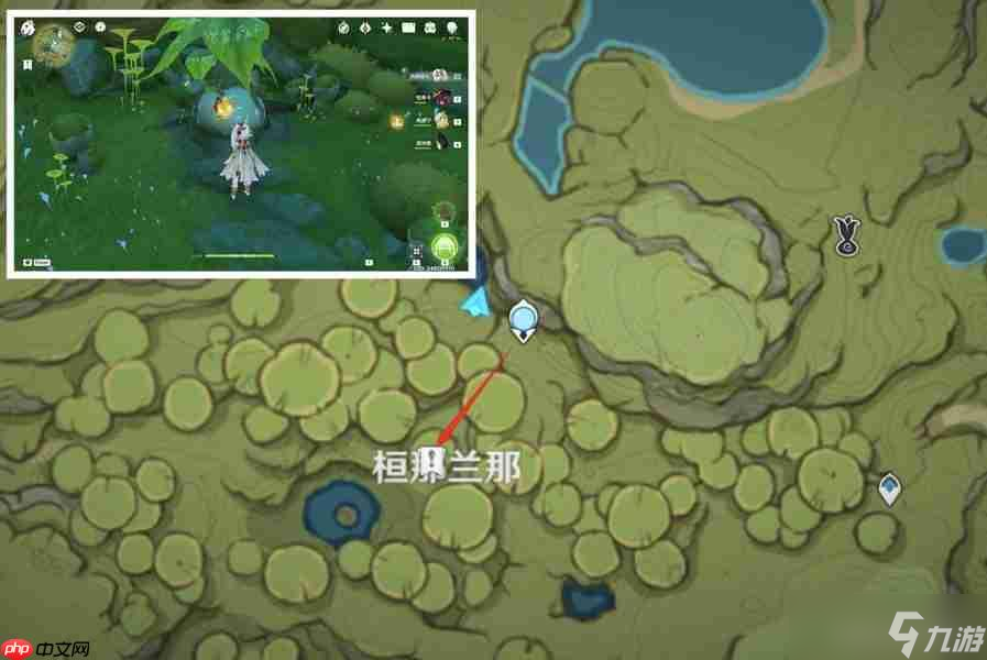 原神帕蒂沙兰全收集路线