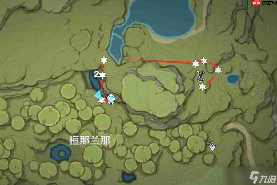 原神帕蒂沙兰全收集路线