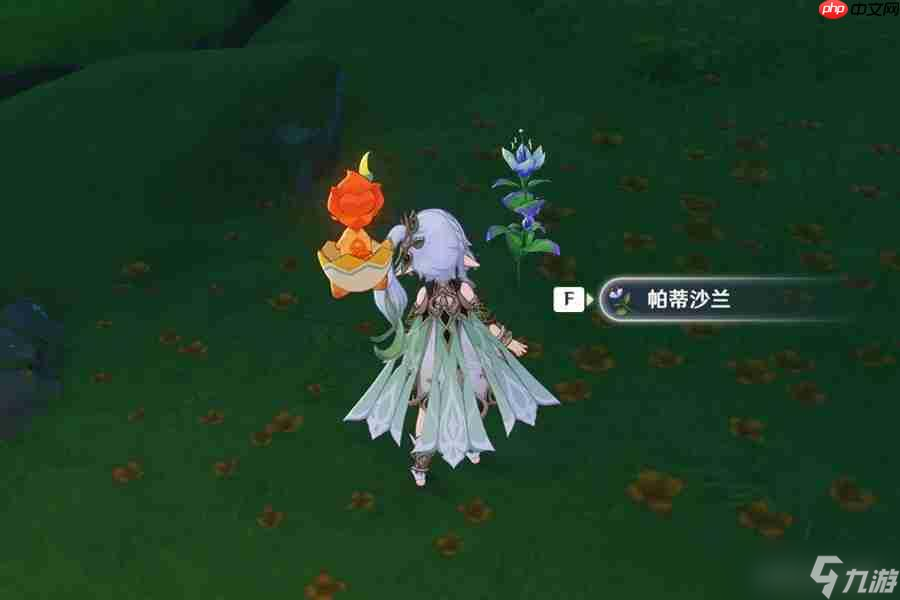 原神帕蒂沙兰全收集路线