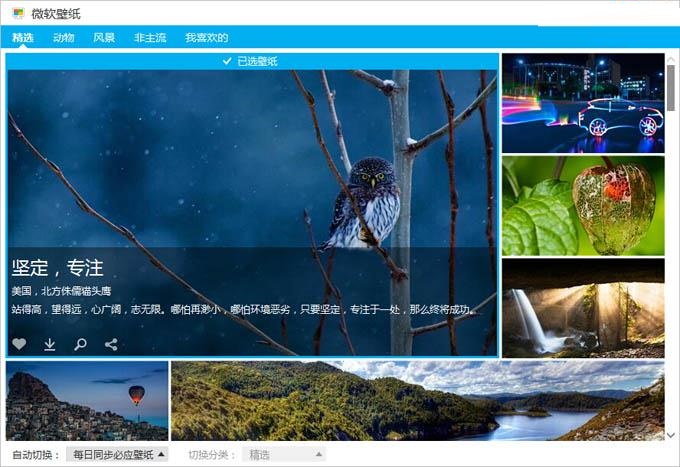 微软壁纸桌面版