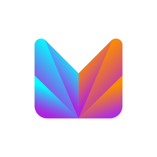 预算规划与资金管理 Monee