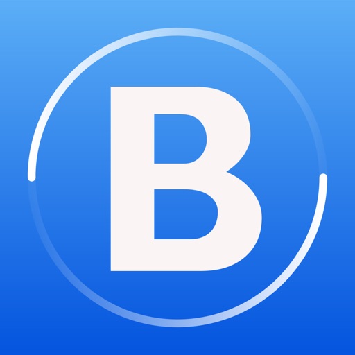 BeeLink - VPN 全球游戏商务跨境办公必备