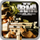 武装突袭2中文版下载v1.3.2