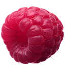 荔枝微博相册下载助手软件